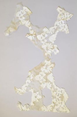 Cream Organza Swatch with White Embroidered Appliqué