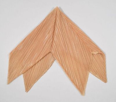 Cicada Pleats